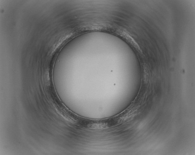 X0000076220251200610191540