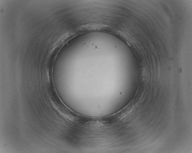 X0000076220254200610191540