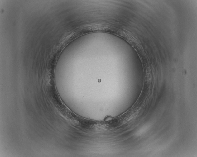 X0000076220255200610191540