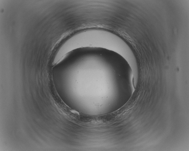 X0000076220256200610191540