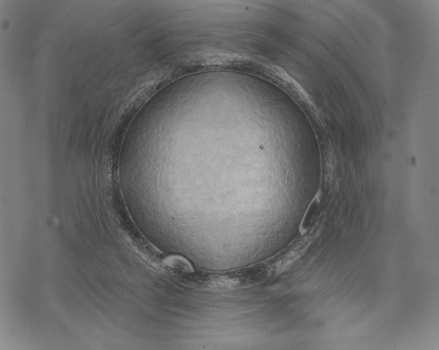 X0000076220257200610191540