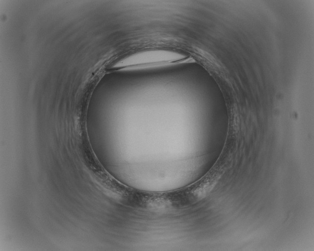 X0000076220258200610191540