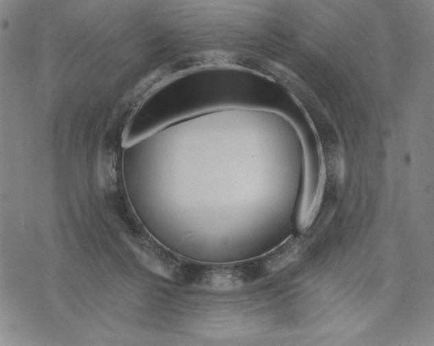 X0000076220264200610191540