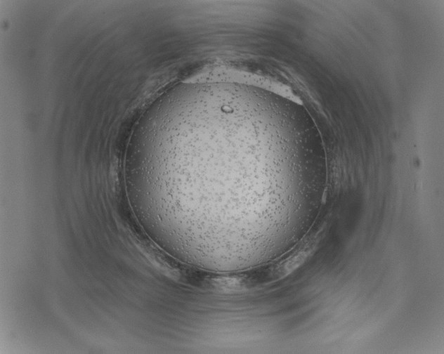 X0000076220265200610191540