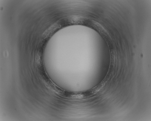 X0000076220266200610191540