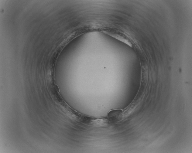 X0000076220269200610191540