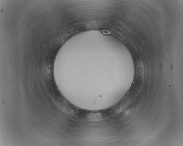 X0000076220271200610191540