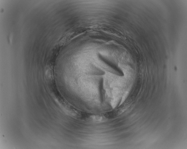 X0000076220272200610191540