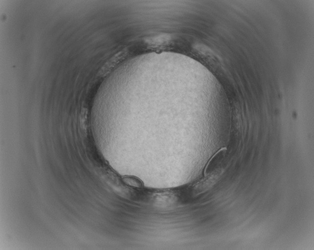 X0000076220275200610191540