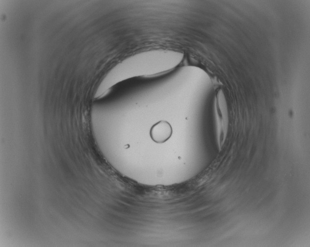 X0000076220276200610191540