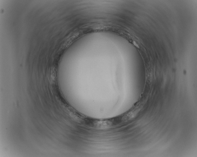 X0000076220277200610191540