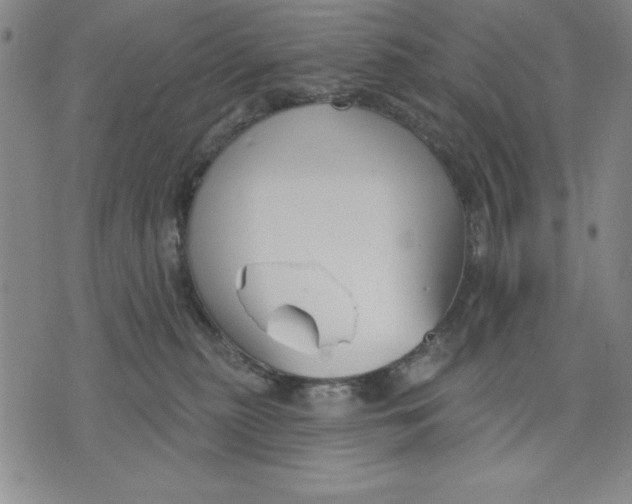 X0000076220279200610191540