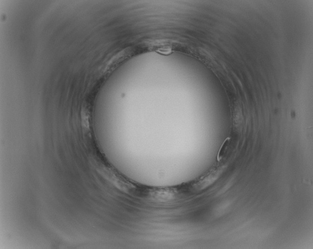 X0000076220282200610191540