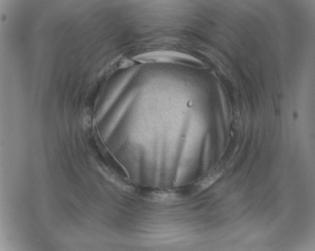 X0000076220284200610191540