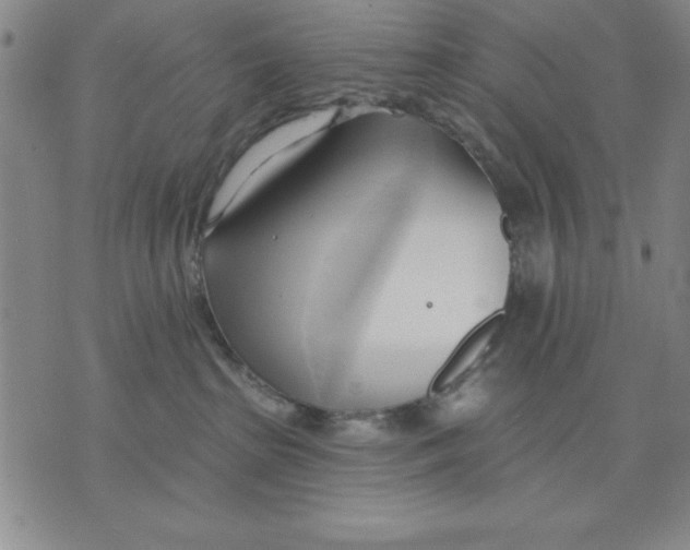 X0000076220285200610191540