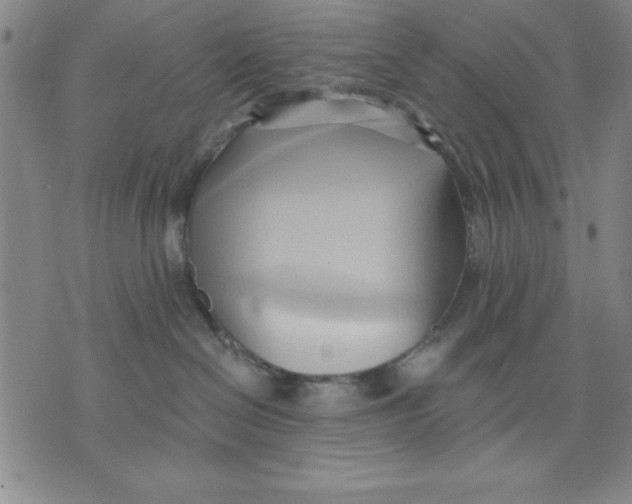 X0000076220286200610191540