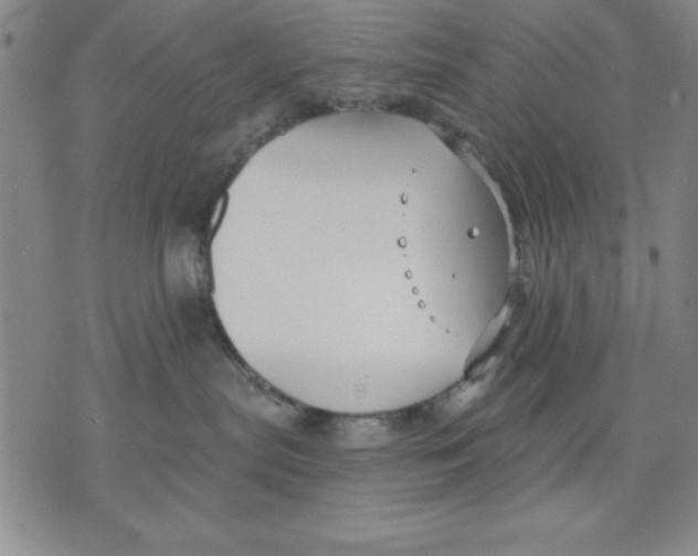 X0000076220287200610191540