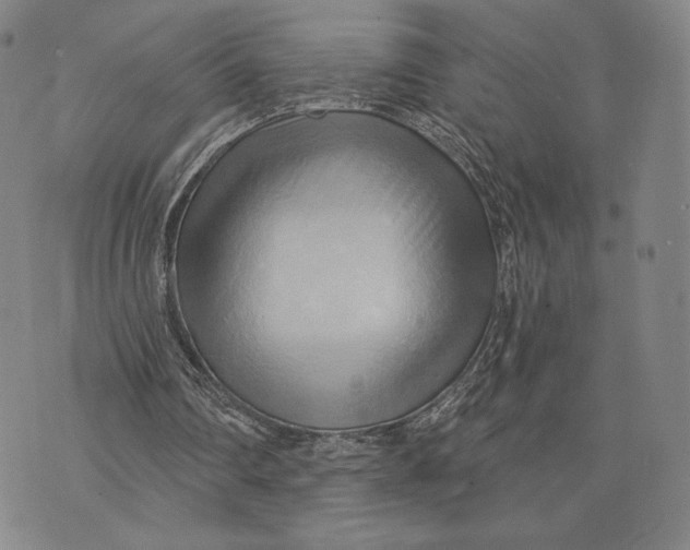 X0000076220290200610191540