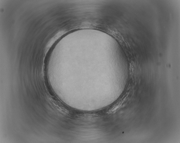 X0000076220292200610191540