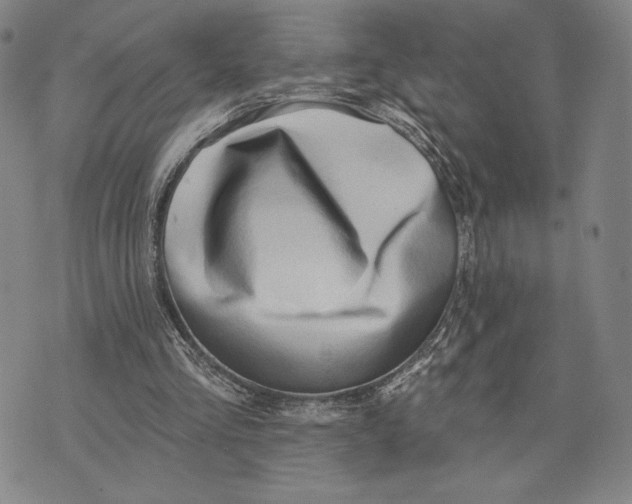 X0000076220293200610191540