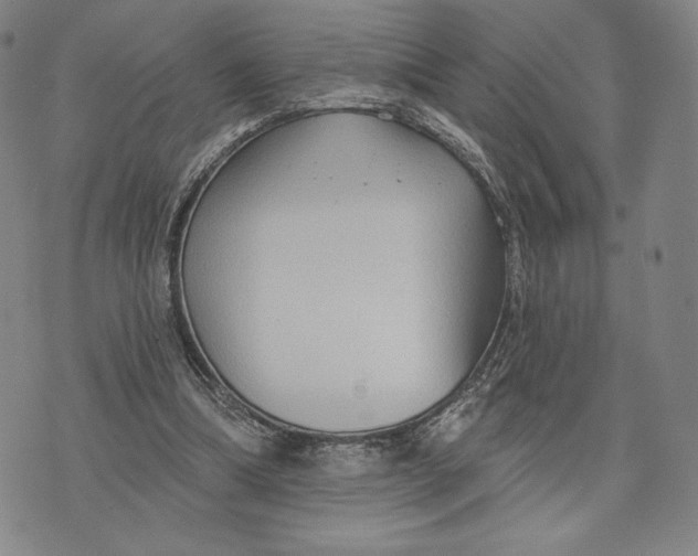 X0000076220298200610191539