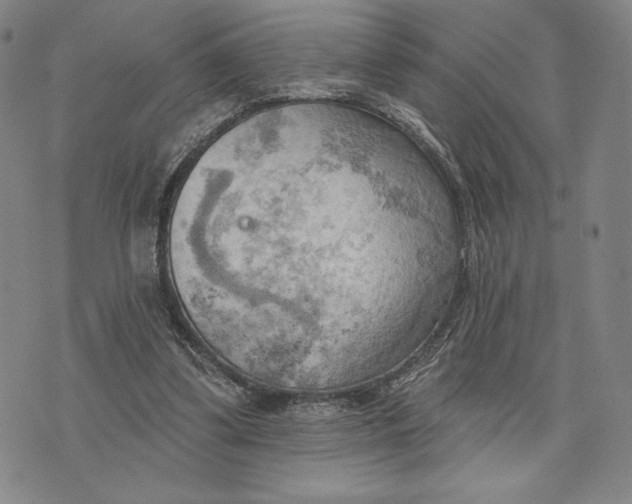 X0000076220299200610191539