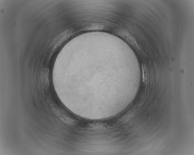 X0000076220300200610191539