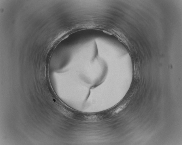 X0000076220301200610191539