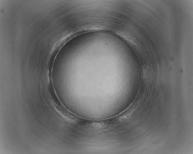 X0000076220302200610191539