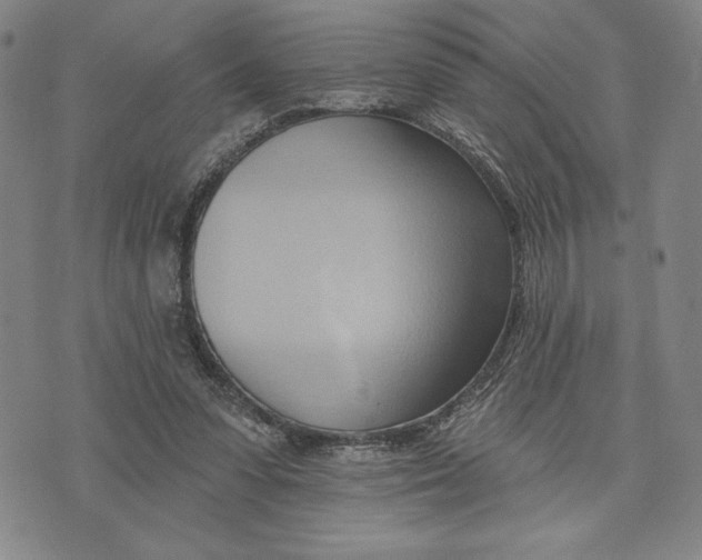 X0000076220303200610191539