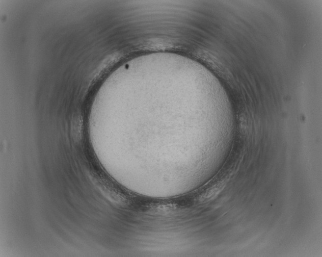 X0000076220304200610191539