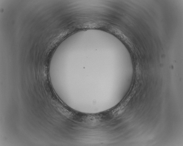 X0000076220305200610191539