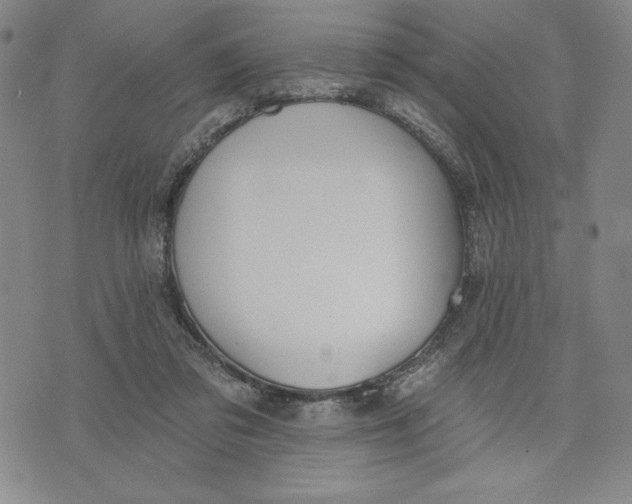 X0000076220309200610191539