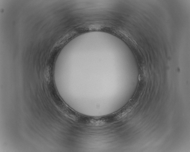 X0000076220311200610191539