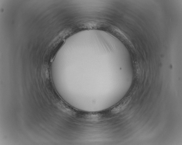 X0000076220313200610191539