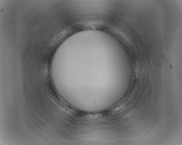 X0000076220314200610191539
