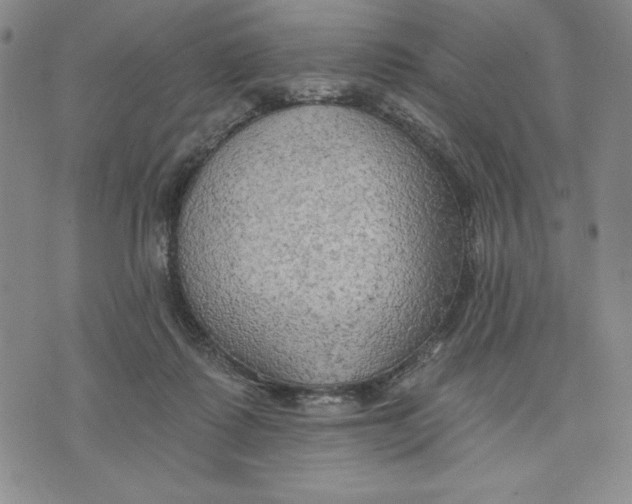 X0000076220315200610191539