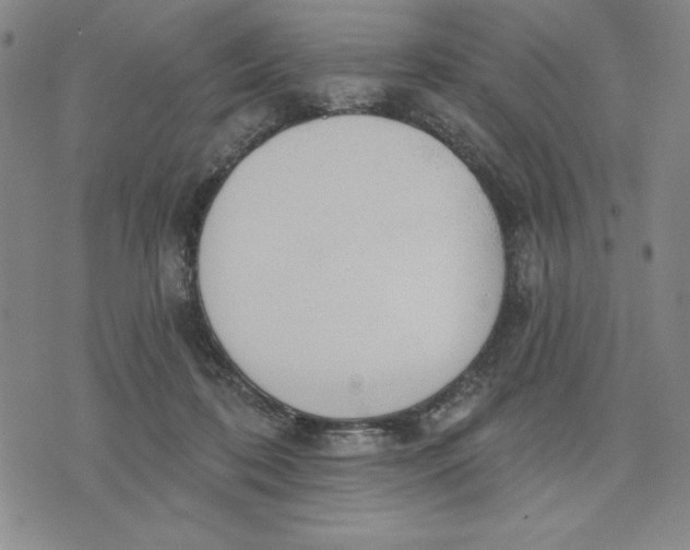 X0000076220316200610191539