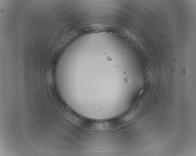 X0000076220317200610191539