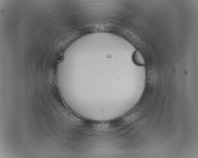 X0000076220318200610191539