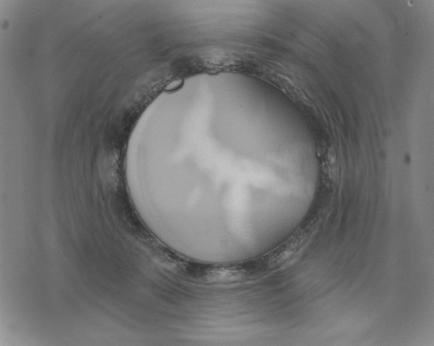 X0000076220319200610191539