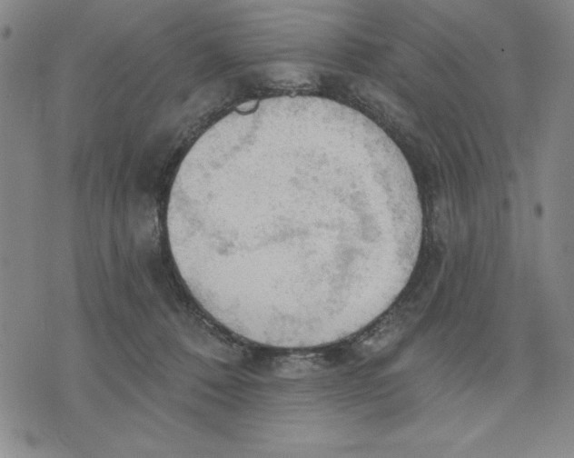 X0000076220320200610191539