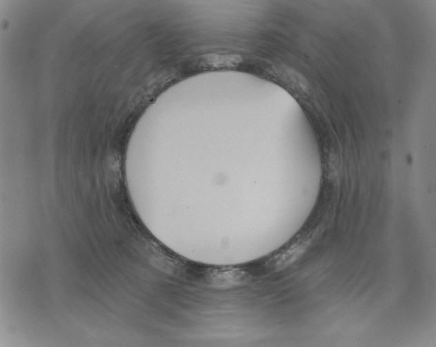 X0000076220321200610191539