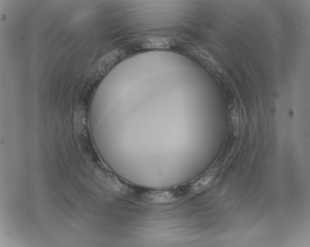 X0000076220322200610191539