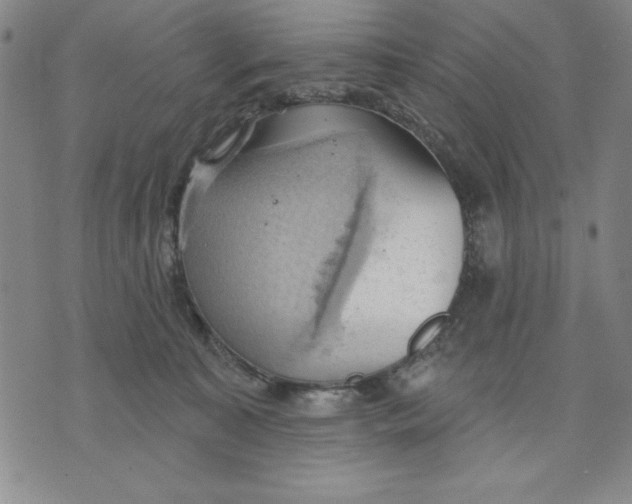 X0000076220323200610191539