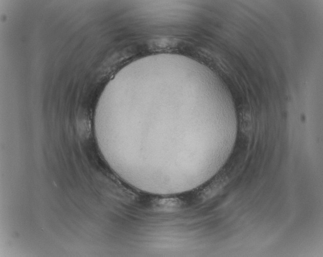 X0000076220324200610191539