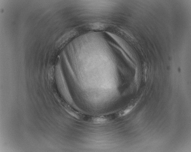 X0000076220325200610191539