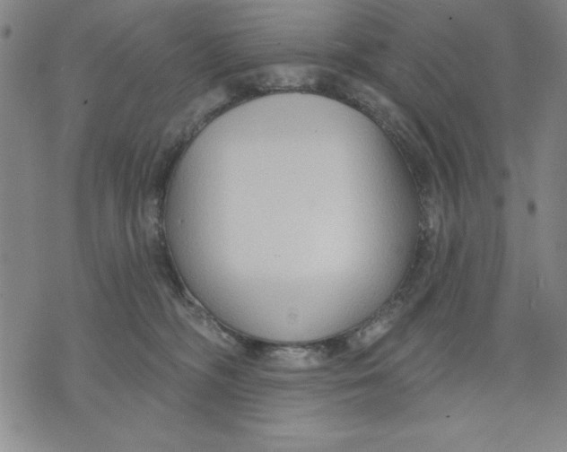 X0000076220326200610191539