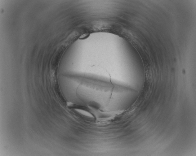 X0000076220327200610191539