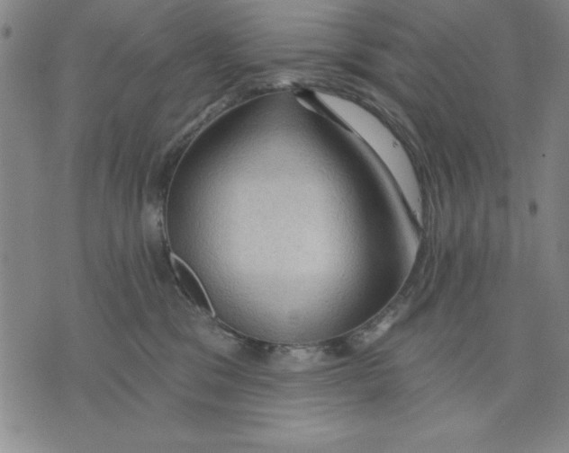 X0000076220329200610191539